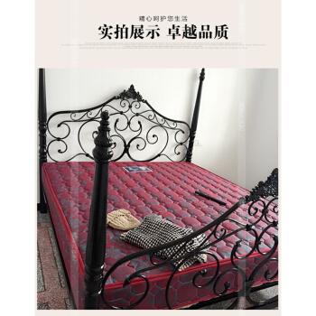 軒凝歐式田園 現代鐵藝床鋼木床簡約雙人床鐵床鐵架床大床 家具 靜謐黑 B款 1200mm*1900mm
